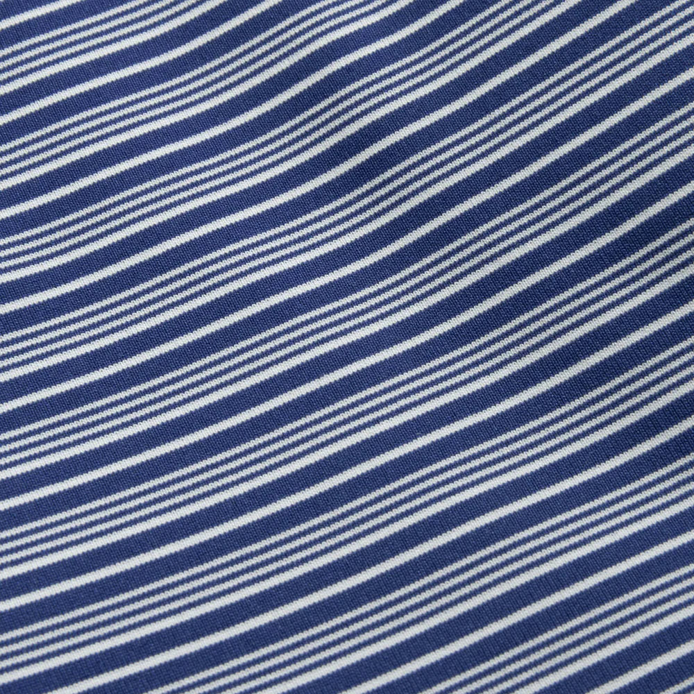 Campus Stripe Polo