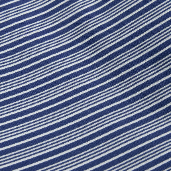 Campus Stripe Polo