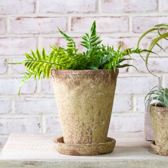 Distressed Terracotta Sand Pot