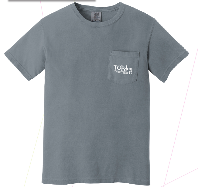 Song of the South Tee