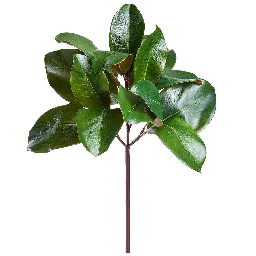 16" Magnolia Leaf Pick Green