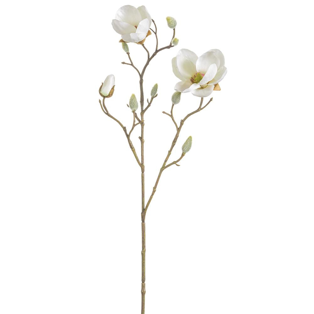 21" Japanese Magnolia Spray Cream