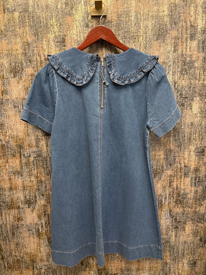 Ruffle Collar A-Line Mini Dress