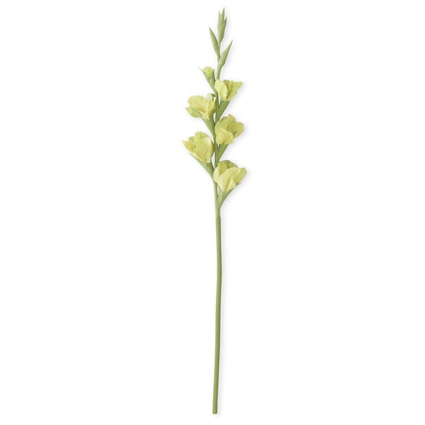 Green Real Touch Gladiolus