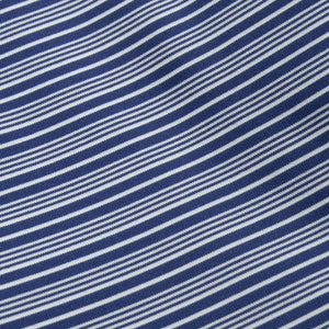 Campus Stripe Polo