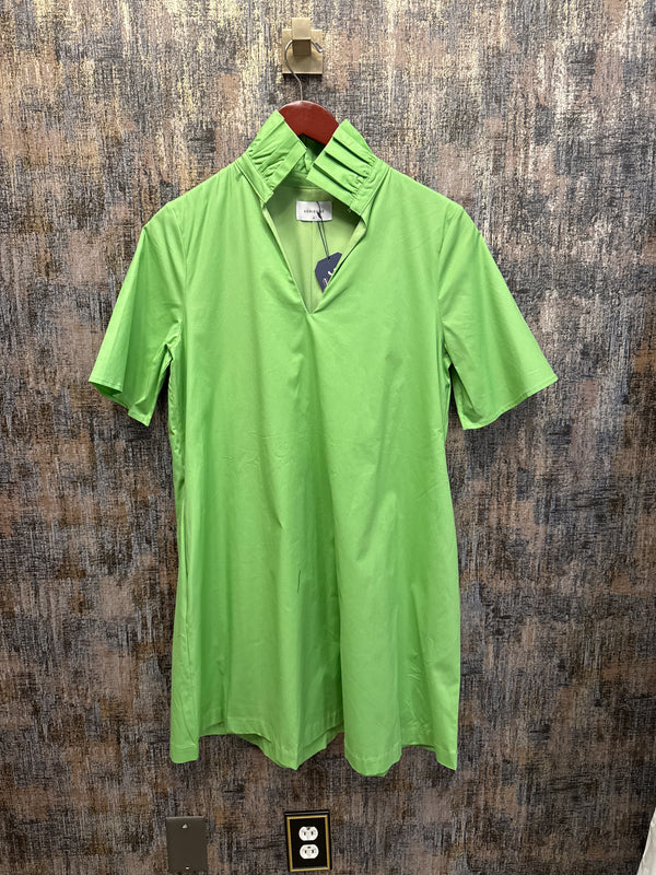 Olivia Green Apple Mini Dress