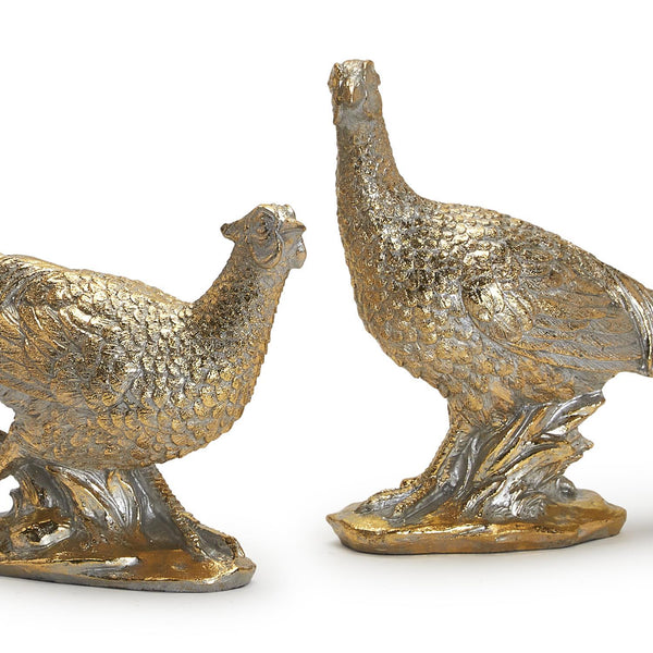 Golden Pheasant