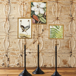 Frame Telescoping Pole
