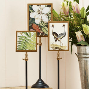 Frame Telescoping Pole
