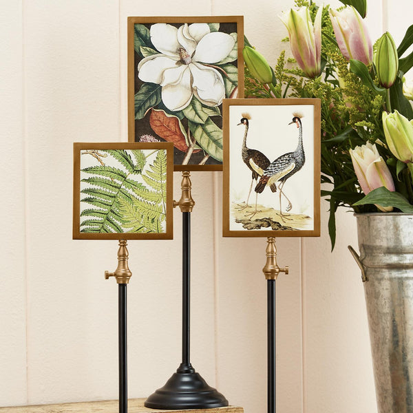 Frame Telescoping Pole