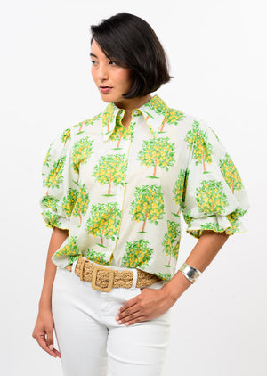 Lemon Tree Top
