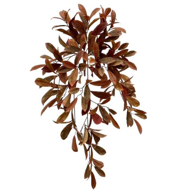 Laurel Leaf Hanging Bush