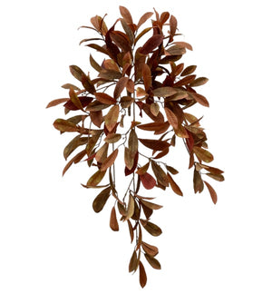 Laurel Leaf Hanging Bush