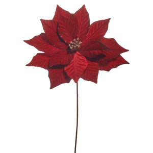 Red Poinsettia Stem