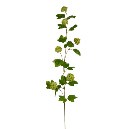 42" Sedum Spray