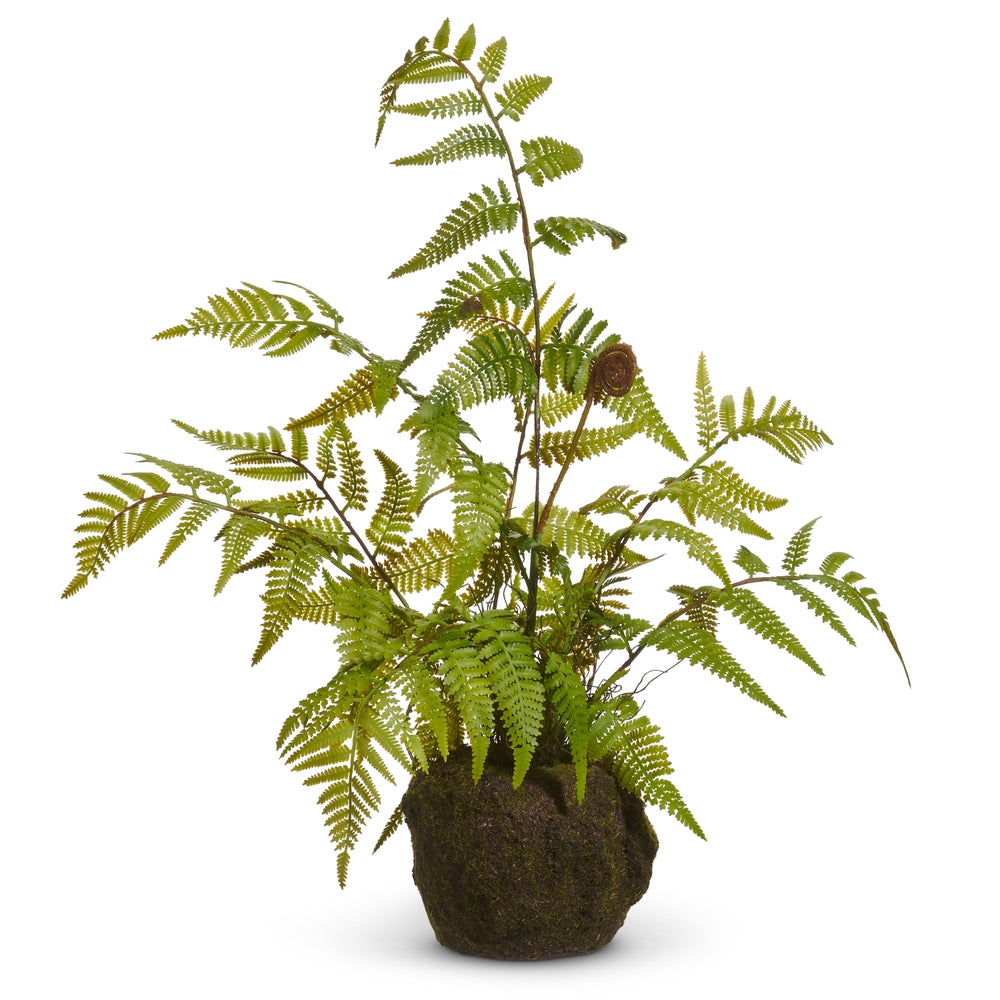 20" Fern Moss Drop In