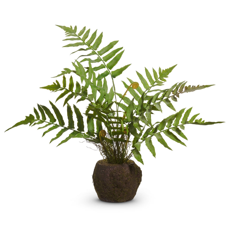 18" Fern Moss Drop In