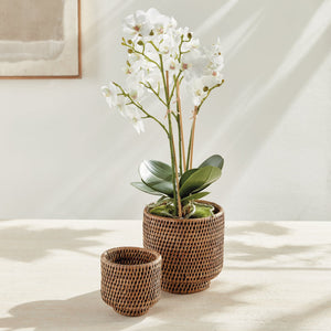 Burma Rattan Cachepot