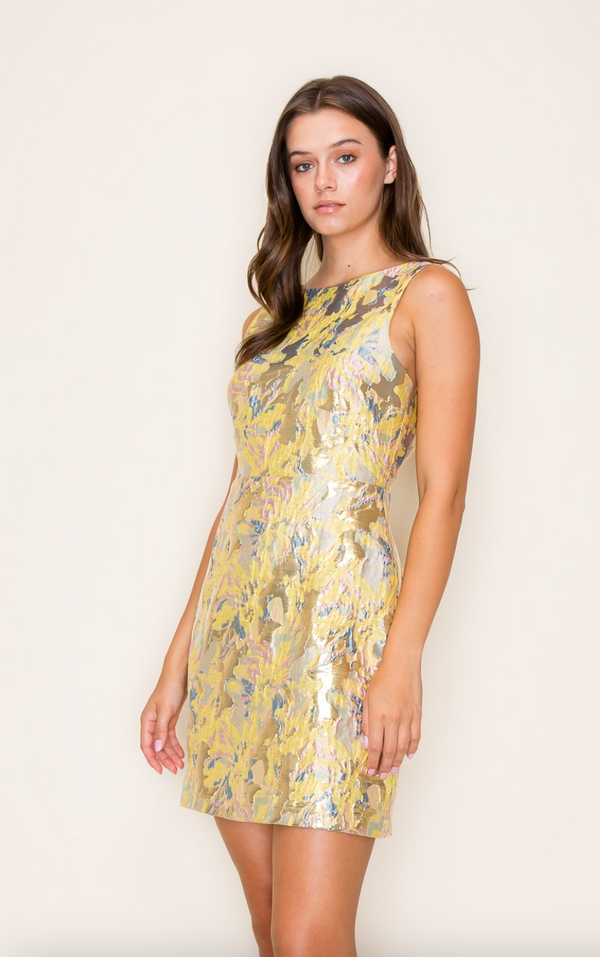Deep V-Neck Back Jacquared Flare Mini Dress