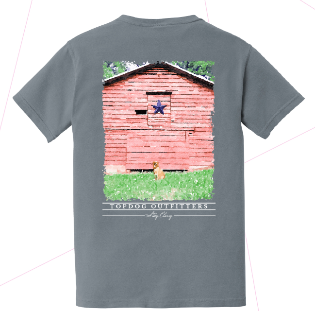 Song of the South Tee