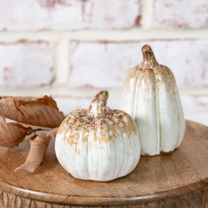 ASST. BROWN TONE PUMP/GOURD