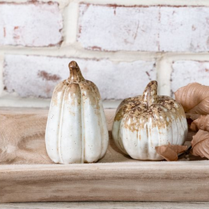 ASST. SM. BROWN TONE PUMP/GOURD