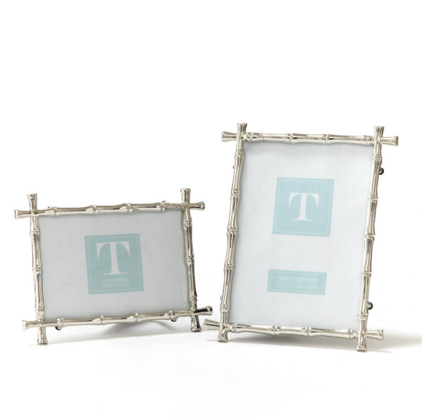 Silver Bamboo Frame