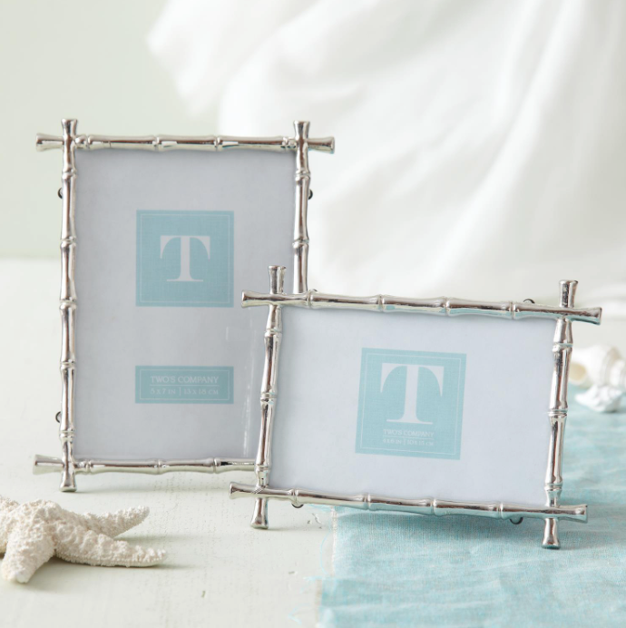 Silver Bamboo Frame