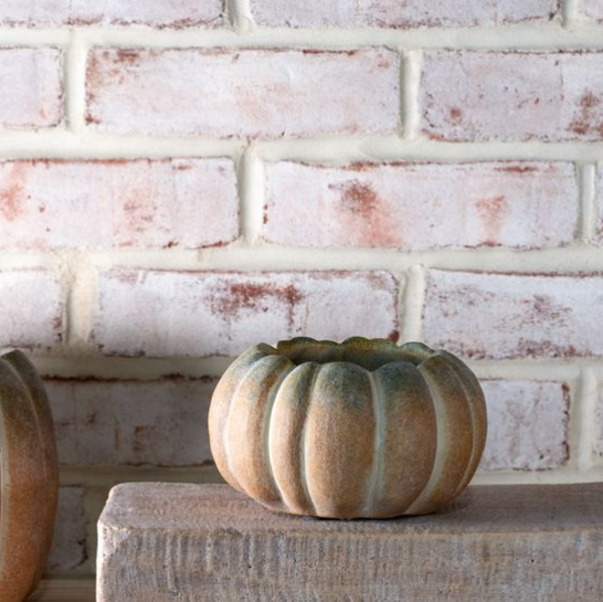 6.1" W. FALL OMBRE CEMENT PUMPKINS
