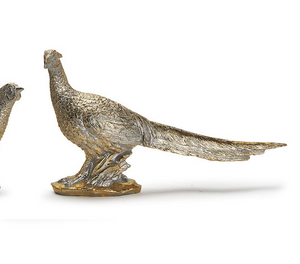 Golden Pheasant