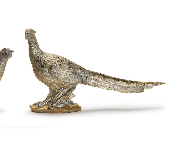 Golden Pheasant