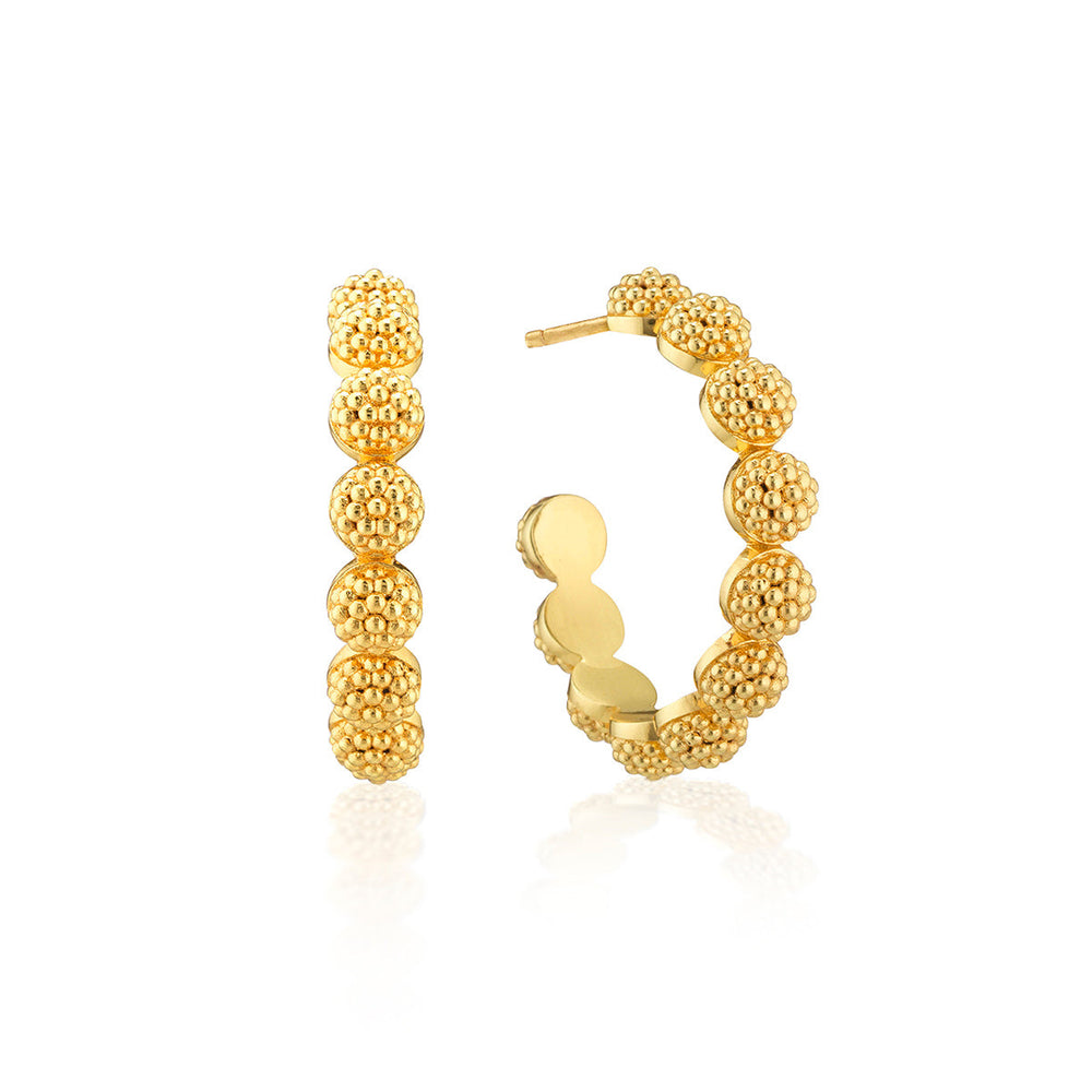 Berry Icon Small Hoop in Gold