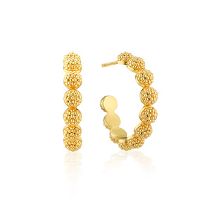 Berry Icon Small Hoop in Gold