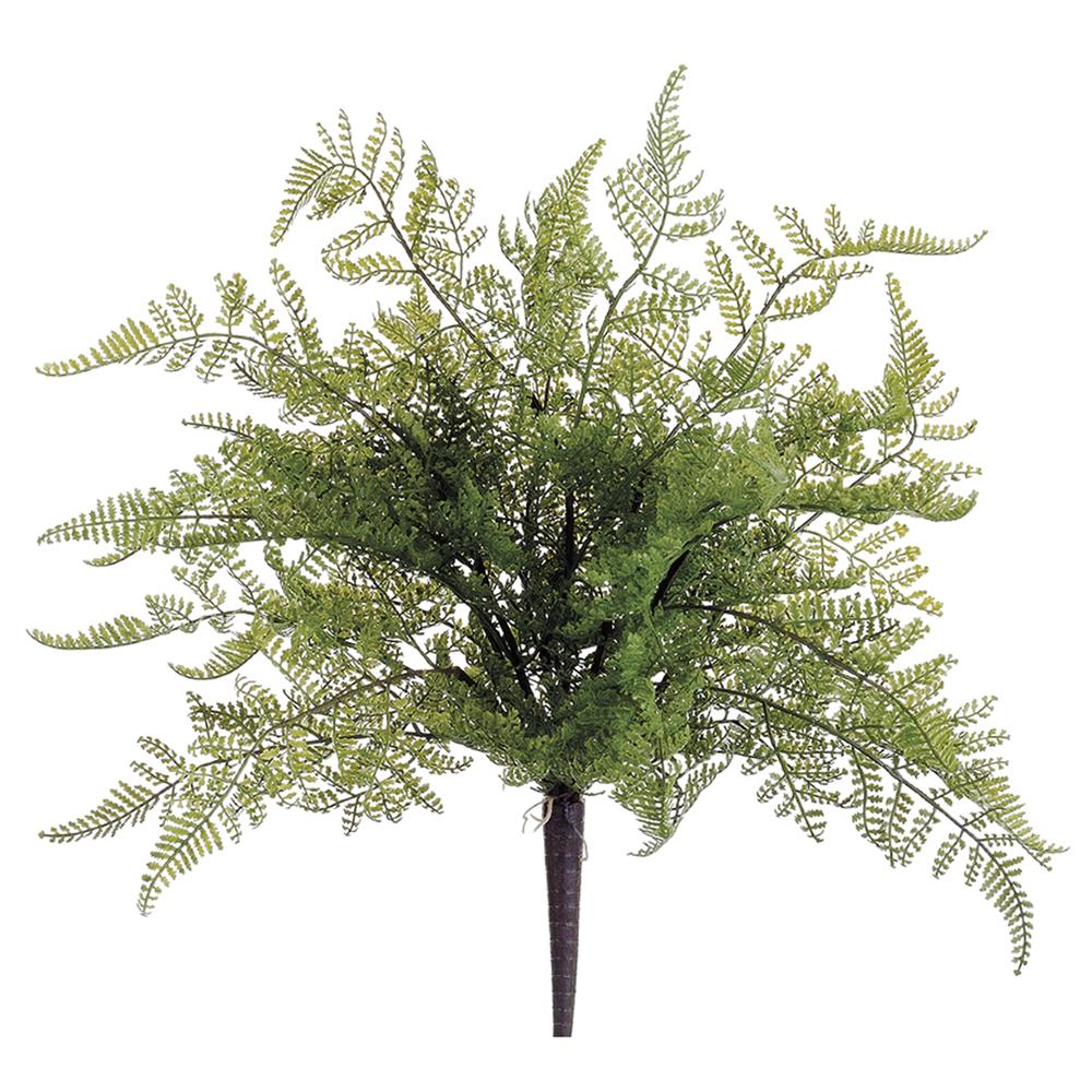 19.5" Lace Fern Bush  Green