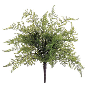 19.5" Lace Fern Bush  Green