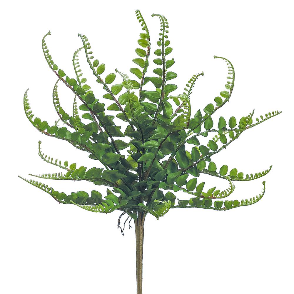 16" Button Fern Bush Green