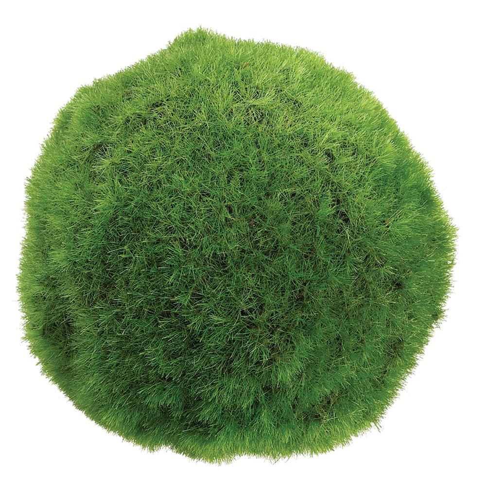 Moss Ball Green