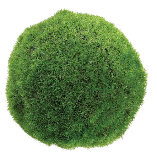 Moss Ball Green