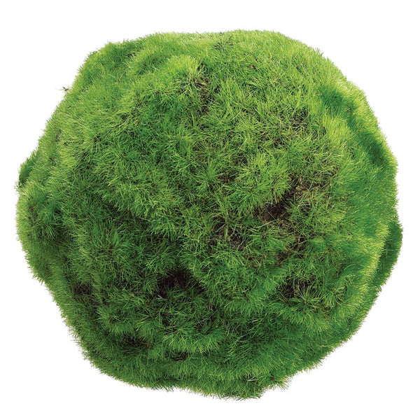 Moss Ball Green