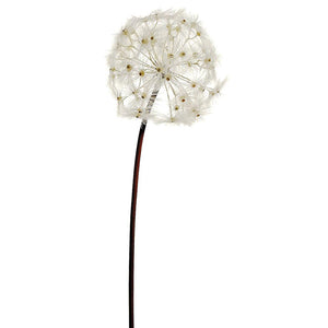 28" Dandelion Spray