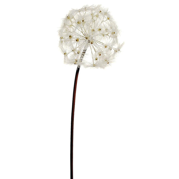 28" Dandelion Spray
