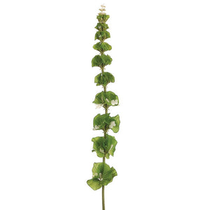 31" Large Bells of Ireland Spray Green