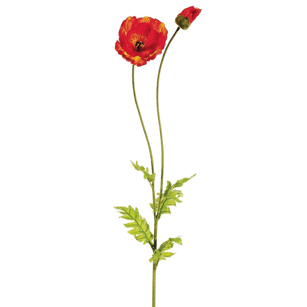 42.5" Poppy Spray