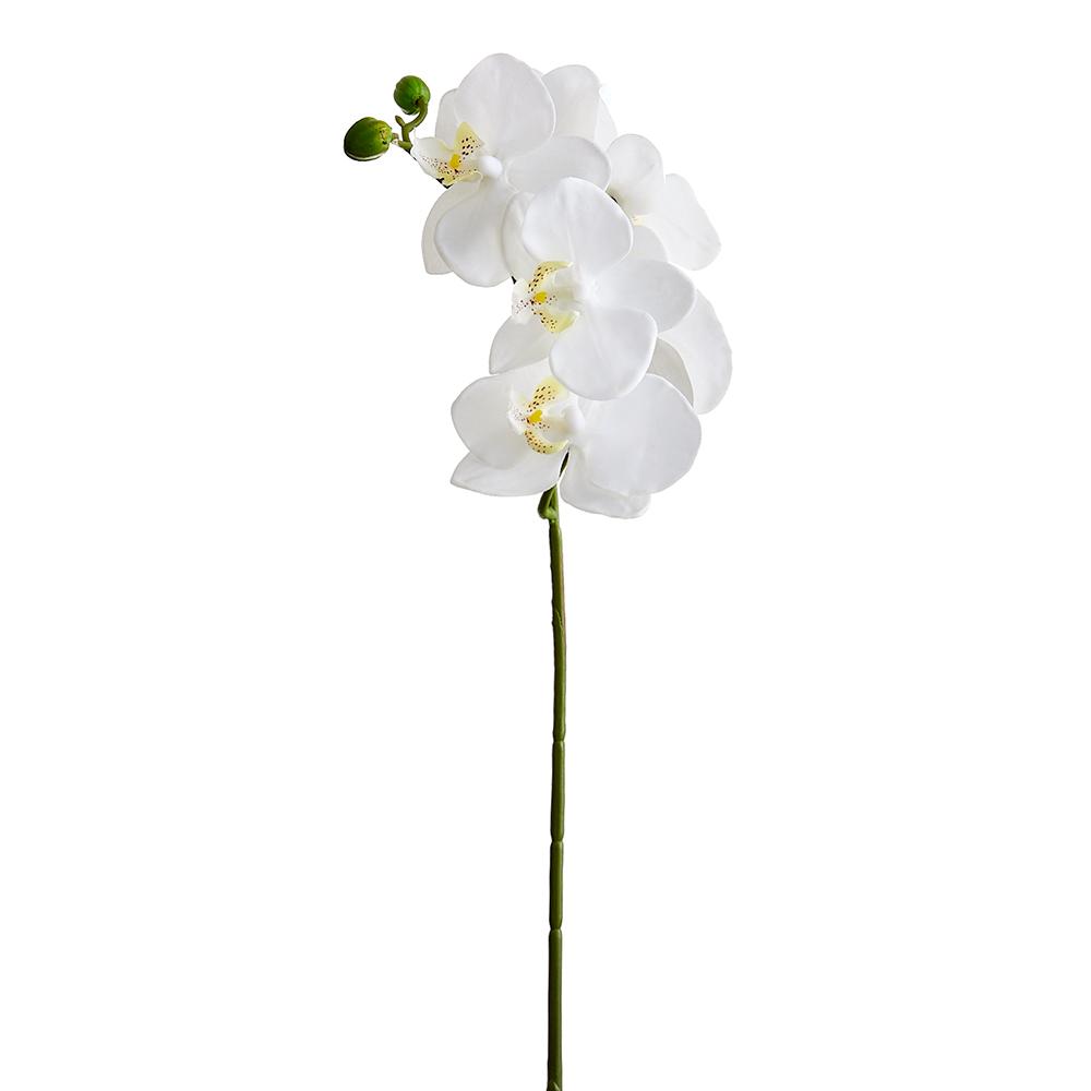23.5" Small Orchid Spray