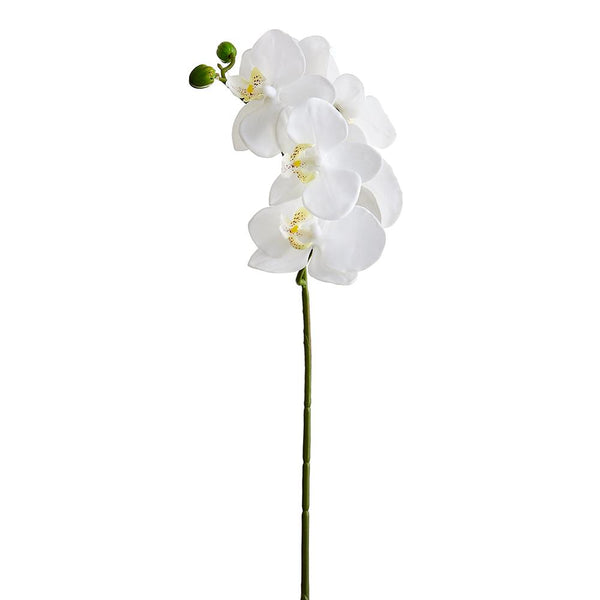 23.5" Small Orchid Spray