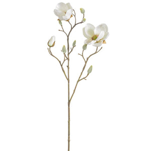 21" Japanese Magnolia Spray Cream