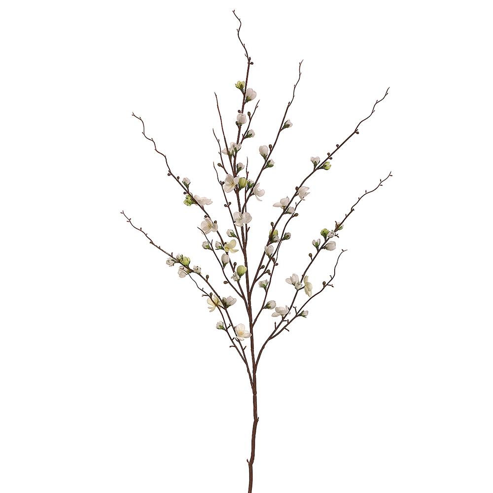 45" Quince Blossom Spray Cream