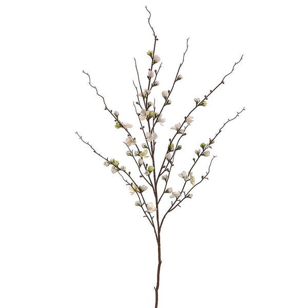 45" Quince Blossom Spray Cream