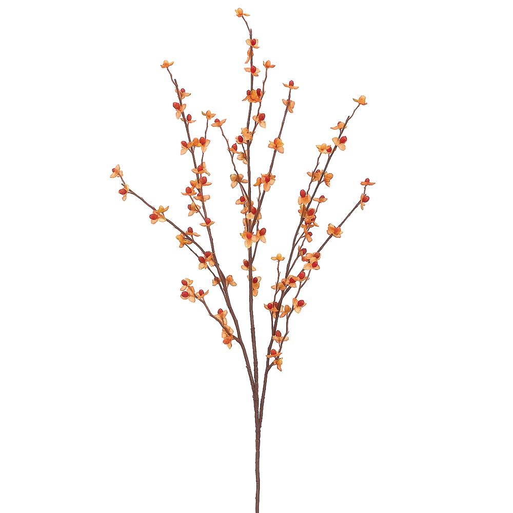 Bittersweet Spray Stem