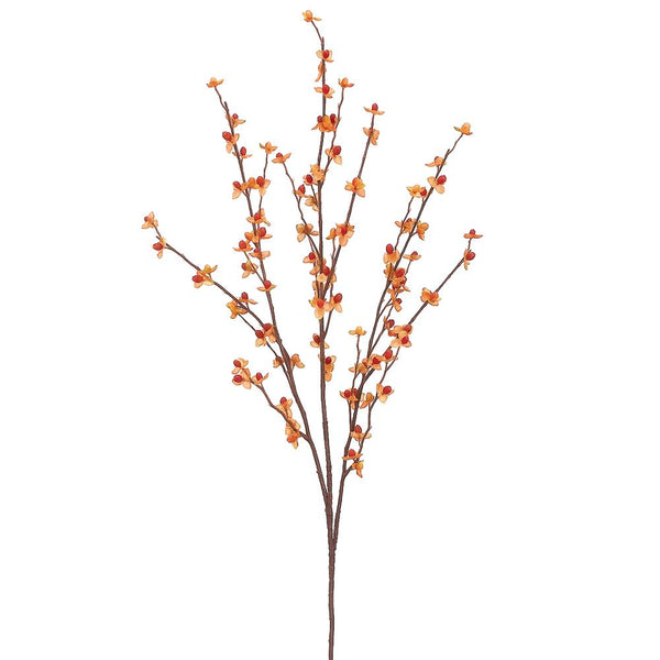 Bittersweet Spray Stem